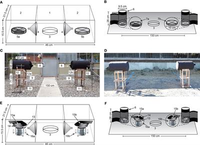 Staphylococcus microbes in the bovine skin microbiome attract blood-feeding stable flies